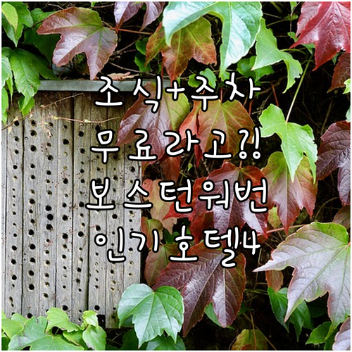 무료 조식과 주차 가능한 보스턴 워번 인기 호텔 4선 시설 및 이용 후기