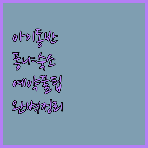 아이 동반 퐁냐 가족 여행 숙소 추천 및 예약 꿀팁