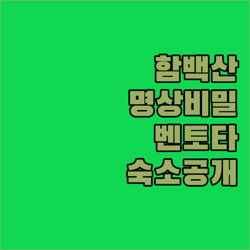 나홀로 떠나는 함백산 숲길 명상과 벤토타 휴양지 숙소 시설 분석