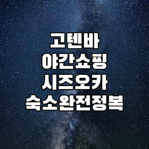 고텐바 아울렛 야간 쇼핑 노하우와 시즈오카 역 앞 깨끗한 숙소 위치 정보