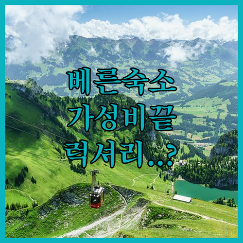 베른 호텔 추천 가성비부터 럭셔리까지 숙소별 상세 후기와 특징