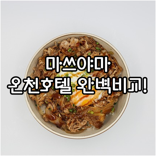 마쓰야마 온천 호텔 추천 도미인 칸데오 비스타 실제 투숙평 비교