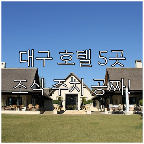 대구 성주 고령 호텔 베스트 5 주차 조식 무료 서비스 완비 숙소 비교