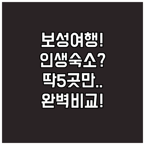 보성 여행 숙소 추천 TOP 5 위치와 시설 장점 완벽 비교 분석