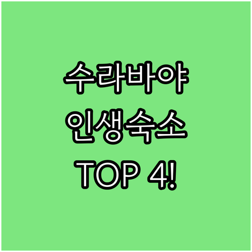 인도네시아 수라바야 숙소 추천 TOP 4 위치 장점 후기 비교 조식 수영장 시설 알아보기