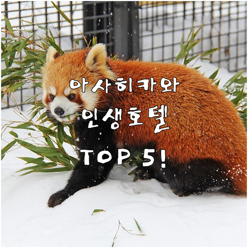 image fe6d73b5