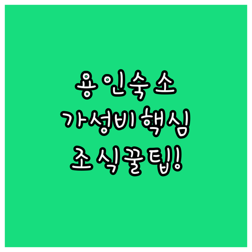 용인 숙소 추천 TOP 5 가성비 후기 분석 조식 시설 주차 정보 알아보기