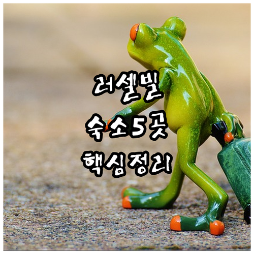 아칸소주 러셀빌 여행 숙소 추천 5곳 평점 후기 무료 조식 반려동물 정보