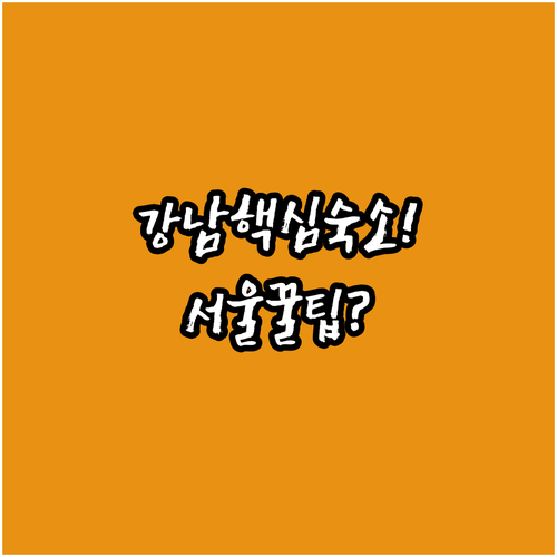 서울 강남 서초 인사동 숙소 추천 TOP 4 위치 시설 후기 분석