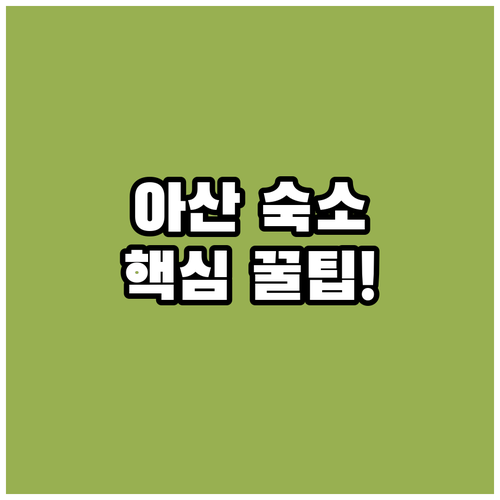 아산 천안아산 CGV 주변 숙소 추천 TOP 5 위치 장점 후기 분석 온천 시설 알아보기