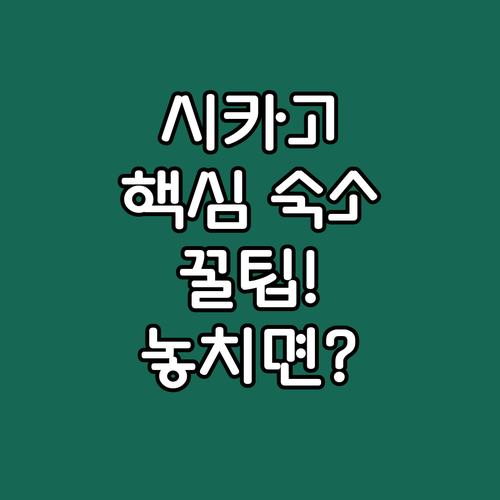 시카고 북부 숙소 추천 The Lyons Den Wrigleyville Suites 더 게스트하우스 호텔 가격 위치 후기 비교