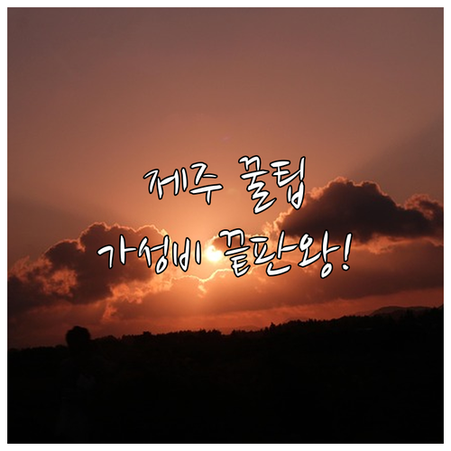 제주 서남부 중문 동부 성산 호텔 펜션 TOP 4 가성비 후기 알아보기