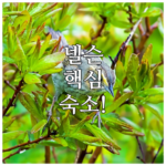 image d85a1be9