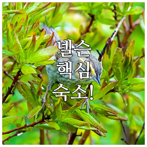 image d85a1be9