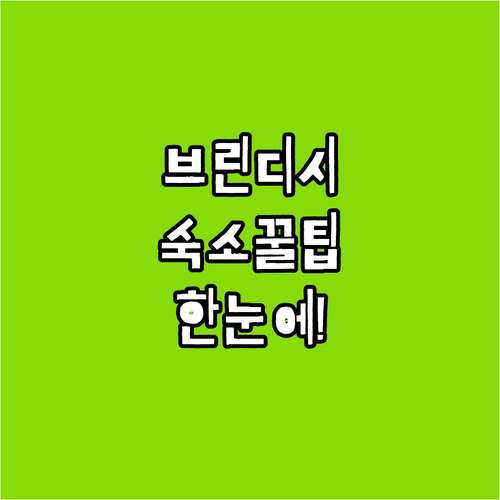 브린디시 여행 숙소 가이드 가성비 호텔부터 프리미엄 그랜드 호텔까지 한눈에 보기