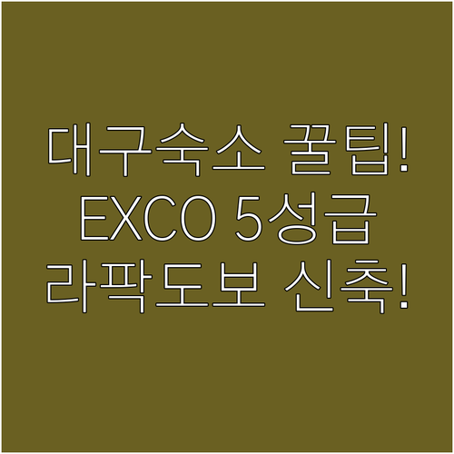 대구 숙소 추천 EXCO 인근 5성급과 라이온즈파크 도보 신축 호텔
