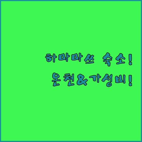 하마마쓰 숙소 추천 아이 동반 온천 리조트와 역 근처 가성비 호텔