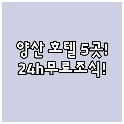 양산 숙소 추천 24시간 체크인과 무료 조식이 있는 쾌적한 호텔 5곳