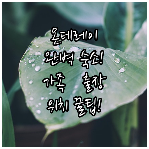 몬테레이 숙소 추천 아이 동반 가족 여행과 비즈니스 출장에 편한 위치