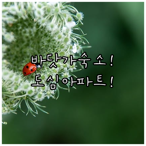 image 970265da