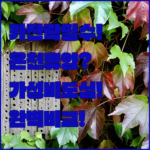 image a80c79be