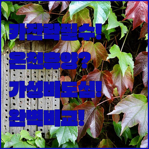 image a80c79be