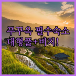 image ca28d6e2